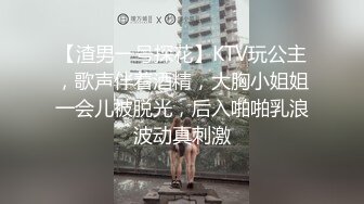 【渣男一号探花】KTV玩公主，歌声伴着酒精，大胸小姐姐一会儿被脱光，后入啪啪乳浪波动真刺激