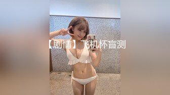 【剧情】飞机杯盲测