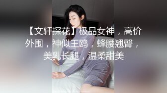 【文轩探花】极品女神，高价外围，神似王鸥，蜂腰翘臀，美乳长腿，温柔甜美