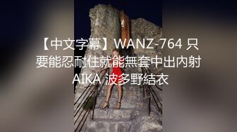 【中文字幕】WANZ-764 只要能忍耐住就能無套中出內射 AIKA 波多野結衣