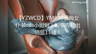 【YZWCD】YM098蕾姆女仆装cos小姐姐！粉窄内勒出明显13缝！