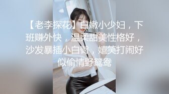 【老李探花】白嫩小少妇，下班赚外快，温柔甜美性格好，沙发暴插小白臀，嬉笑打闹好似偷情野鸳鸯